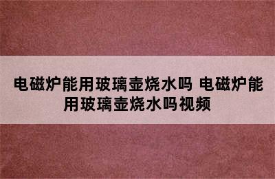 电磁炉能用玻璃壶烧水吗 电磁炉能用玻璃壶烧水吗视频